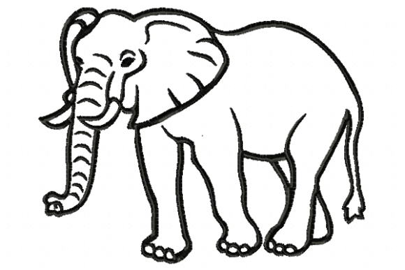 Big Elephant: A Boutique Apparel Design Review